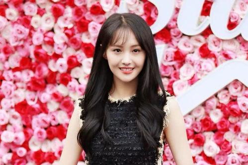 爆料欧美娱乐圈,揭秘明星背后的秘密与争议  第3张